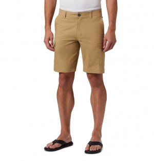 Columbia Brentyn Trail Men Shorts | KVMHWS-163