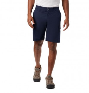 Columbia Brentyn Trail Men Shorts | TSEAUF-143