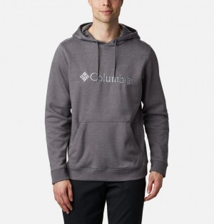 Columbia CSC Basic Logo II Men Hoodies | SDJECZ-172