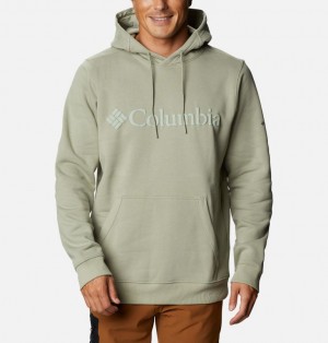 Columbia CSC Basic Logo II Men Hoodies | QZFWUA-134