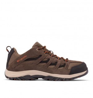 Columbia Crestwood Men Hiking Shoes | OSQLEV-461