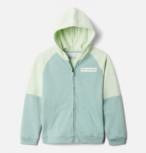 Columbia Logo Kids' Hoodies | LAFYUX-157