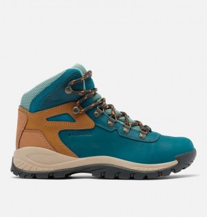 Columbia Newton Ridge Women Waterproof Boots | MXSKRT-098