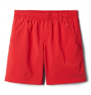 Columbia PFG Backcast Kids' Shorts | OWQDPI-058