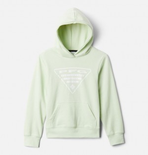 Columbia PFG Kids' Hoodies | KIWVMB-903