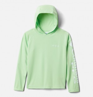 Columbia PFG Terminal Tackle Kids' Hoodies | TCGXMH-624