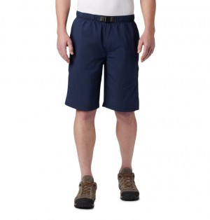 Columbia Palmerston Peak Men Shorts | ZKOMCJ-457