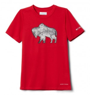 Columbia Ranco Lake Kids' T-Shirts | AZDNOI-630