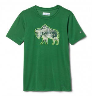 Columbia Ranco Lake Kids' T-Shirts | MYGFLI-541