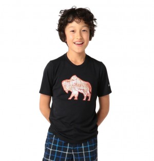 Columbia Ranco Lake Kids' T-Shirts | SXFIQC-840