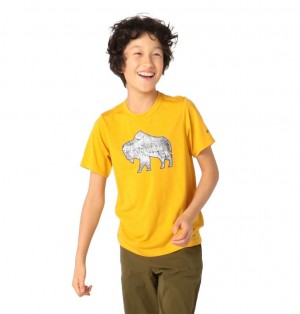 Columbia Ranco Lake Kids' T-Shirts | ZIWYBM-608