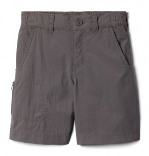 Columbia Silver Ridge Kids' Shorts | JCFVSD-695