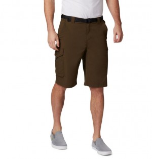 Columbia Silver Ridge Men Shorts | TIGEWZ-916