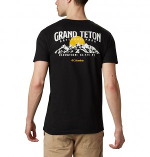 Columbia Teton Men T-Shirts | GQFIHR-586