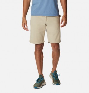 Columbia Ultimate Roc Men Shorts | EGVYXK-632