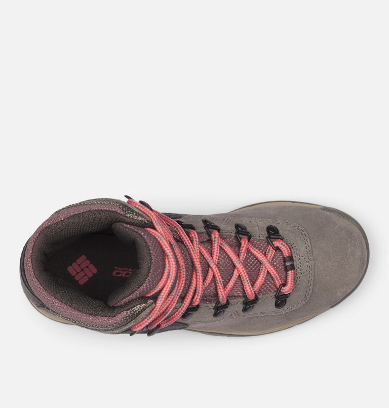 Columbia Newton Ridge Plus Women Hiking Shoes | YFXOGT-257