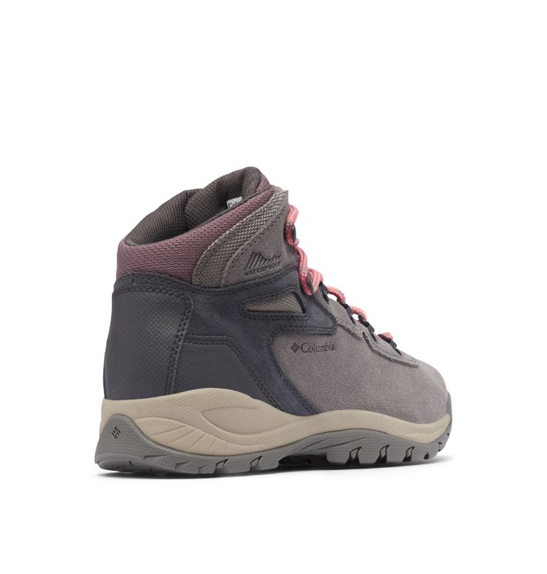 Columbia Newton Ridge Plus Women Hiking Shoes | YFXOGT-257